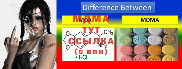 гидра Вяземский